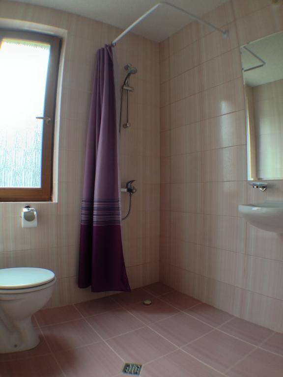 Mala Planina Guest House Iskrets Zimmer foto