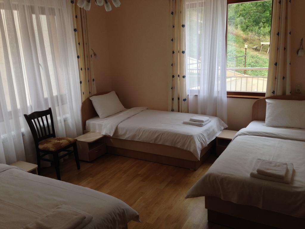 Mala Planina Guest House Iskrets Zimmer foto